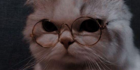 Imagem do grupo de WhatsApp Nmr ou amzd❤