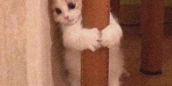 Imagem do grupo de WhatsApp 💪😚 é