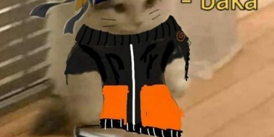 Imagem do grupo de WhatsApp V I E W S  STATUS br🇧🇷