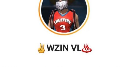 Imagem do grupo de WhatsApp 🐂𝔾𝕌𝕀𝕃𝔻𝔸.𝔽𝔽_𝕃𝕆𝕊 𝔾𝔸𝔻𝕆S🇧🇷