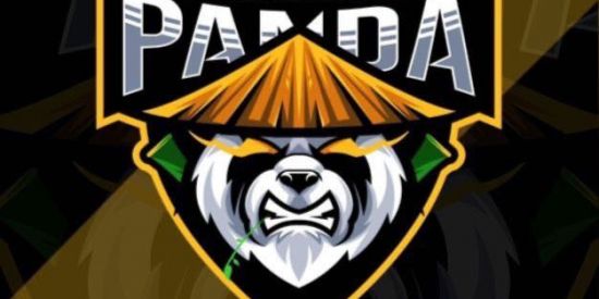 Imagem do grupo de WhatsApp E¹ |♚ρ∂’α♚| ραи∂α🎋