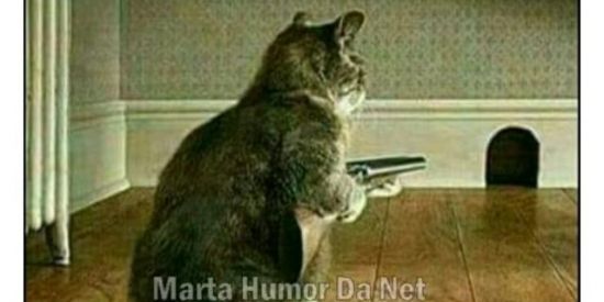 Imagem do grupo de WhatsApp Grupo da bagunça