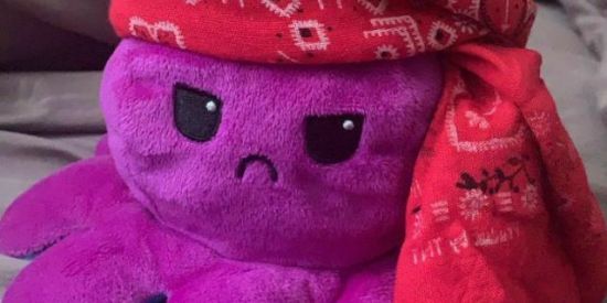 Imagem do grupo de WhatsApp 🔥⃟𝐑𝐄𝐏𝐑𝐎𝐕ᐬ𝐃𝐎𝐒⃟❄️