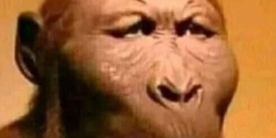 Imagem do grupo de WhatsApp →:🙂Legião Shitposter🙂:←