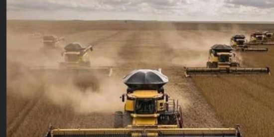 Imagem do grupo de WhatsApp OS MENINOS DA PECUÁRIA 🚜🐎