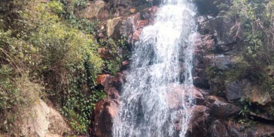 Imagem do grupo de WhatsApp CAMPO FORMOSO/ BA 🏜️