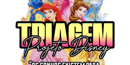 Imagem do grupo de WhatsApp 👑✨•Triagem •pjt.disney•✨👑