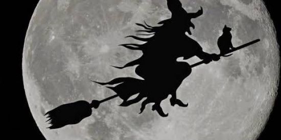 Imagem do grupo de WhatsApp O_grimorionatural 🪬🌓✨