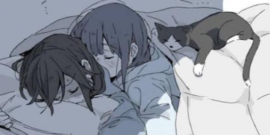 Imagem do grupo de WhatsApp NÓS POR ELAS (L)GBT