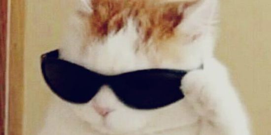 Imagem do grupo de WhatsApp 🔥 Quarentenados ❤️