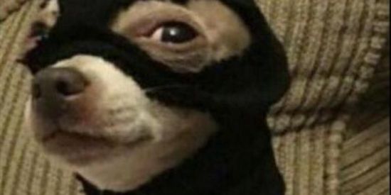 Imagem do grupo de WhatsApp 《A.M.I.Z.A.D.E♡》