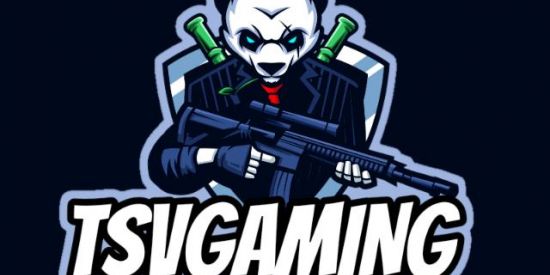 Imagem do grupo de WhatsApp RECRUTAMENTO TSVGAMING