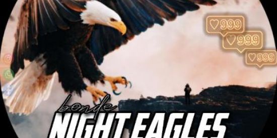 Imagem do grupo de WhatsApp 🦅TRIAGEM NIGHT EAGLES 🦅