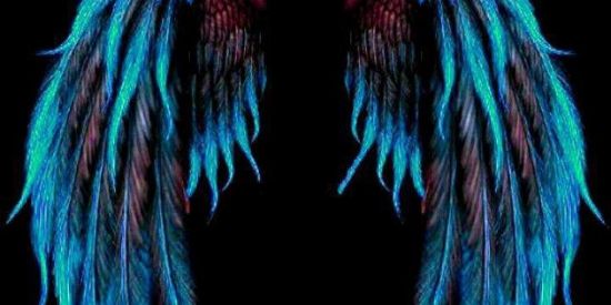 Imagem do grupo de WhatsApp Grupo da amizade