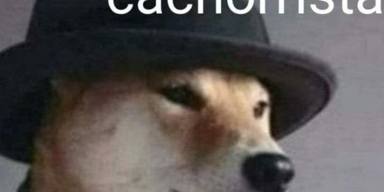 Imagem do grupo de WhatsApp frio e cachorrista