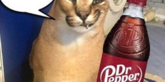 Imagem do grupo de WhatsApp ༺ღ༒ mundo dos animês  ༒ღ༻