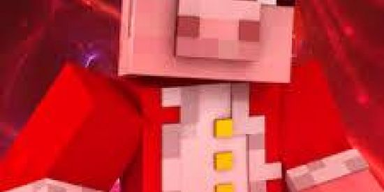 Imagem do grupo de WhatsApp Minecraft ™