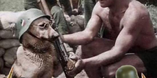 Imagem do grupo de WhatsApp 🪖QUÆRT3L_XD🪖