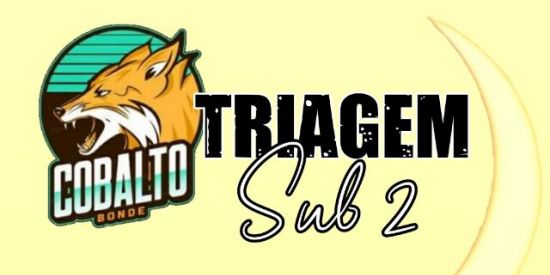 Imagem do grupo de WhatsApp 🧡 ORANGE | TRIAGEM SUB² 🌙