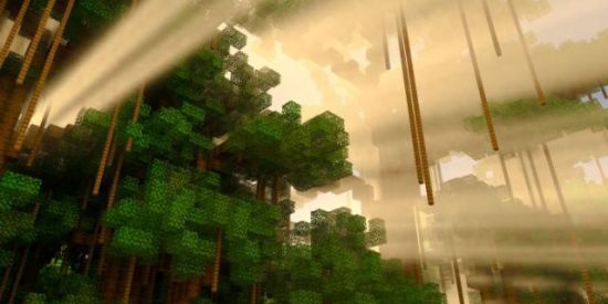 Imagem do grupo de WhatsApp 🌳MINECRAFT 3.0💥