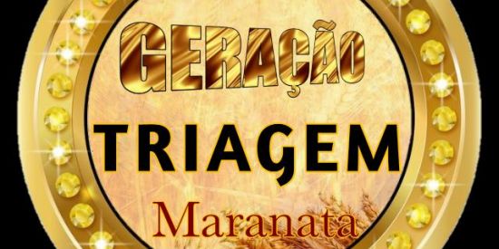 Imagem do grupo de WhatsApp GRUPO DE TRIAGEM [GMT]