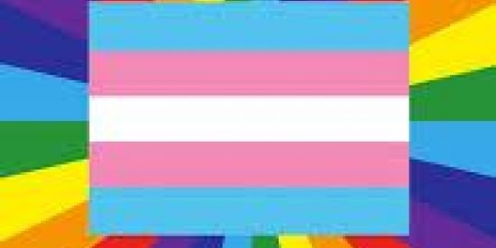 Imagem do grupo de WhatsApp ```🏳️‍🌈LGBTQ+BAGAÇEIRA🏳️‍🌈```
