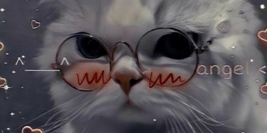 Imagem do grupo de WhatsApp Hᴏsᴘɪᴄɪʟ✌︎