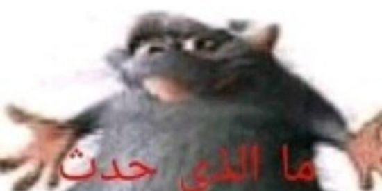 Imagem do grupo de WhatsApp Administração Fina 🍺