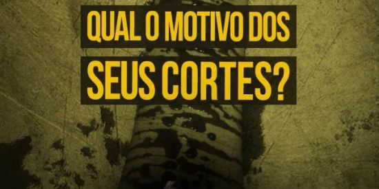 Imagem do grupo de WhatsApp HELP FJU