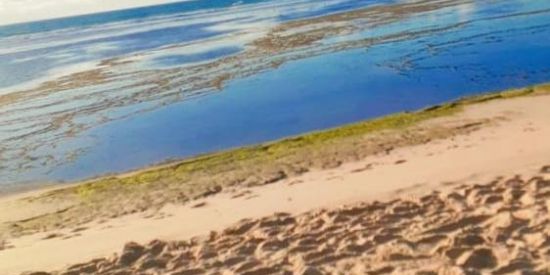 Imagem do grupo de WhatsApp Resenha Da Bahia🤪