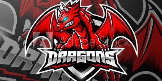 Imagem do grupo de WhatsApp DRAGON SENSE VIP 🔥