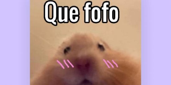 Imagem do grupo de WhatsApp Aleatórios 🥴