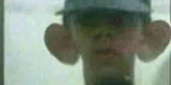 Imagem do grupo de WhatsApp Grupo de shitpost