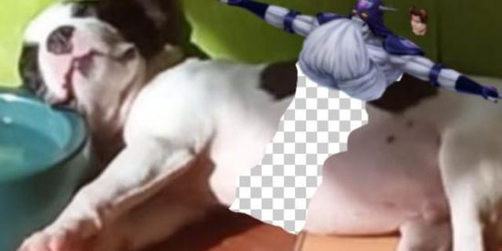 Imagem do grupo de WhatsApp Chat elevador