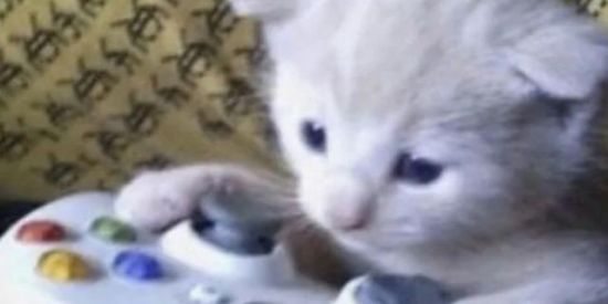 Imagem do grupo de WhatsApp ★\𝘉𝘢𝘭𝘢𝘥𝘪𝘯𝘩𝘢 𝘙𝘶𝘳𝘢𝘭🎉⟩