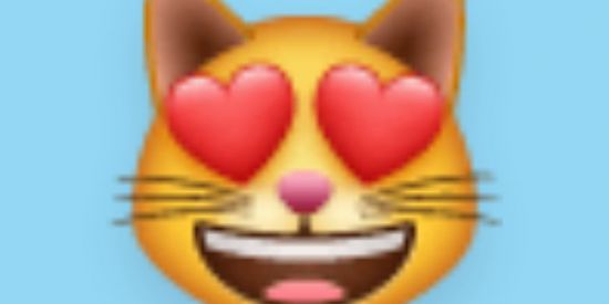 Imagem do grupo de WhatsApp 💫 RECRUTAMENTO 【ᙖᎷ】💫