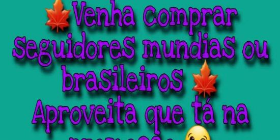 Imagem do grupo de WhatsApp 🚀 VENDAS DE SEGUIDORES 🛒