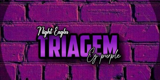 Imagem do grupo de WhatsApp TRIAGEM ✧Nℓ's✧