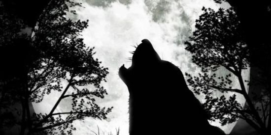 Imagem do grupo de WhatsApp 𝑴𝑼𝑻𝑰𝑹Ã𝑶 𐂡