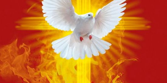 Imagem do grupo de WhatsApp Avivados pelo Espírito 👊🏽❤‍🔥