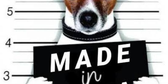 Imagem do grupo de WhatsApp ✨////grupo da zueira \\\\✨