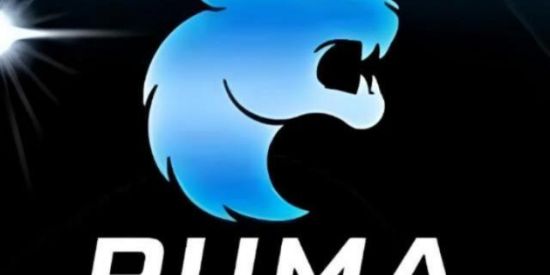 Imagem do grupo de WhatsApp Pulma inscrições 💙💙