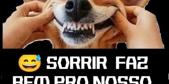 Imagem do grupo de WhatsApp 🤭𝐇𝐔𝐌𝐎𝐑 𝐂𝐎𝐍𝐓𝐀𝐆𝐈𝐀𝐍𝐓𝐄😅