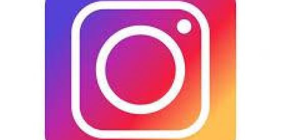 Imagem do grupo de WhatsApp SEGUIDORES INSTAGRAM