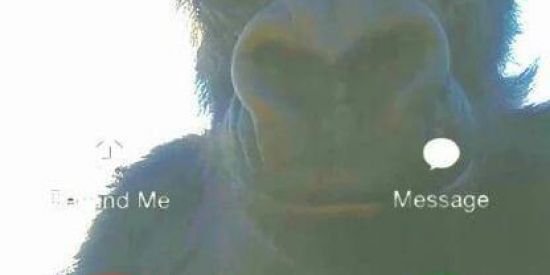 Imagem do grupo de WhatsApp Grupo de shitpost 🦦✌