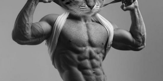 Imagem do grupo de WhatsApp Hell Sh1tpost 1.0!!🗿🍷