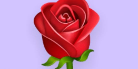 Imagem do grupo de WhatsApp Grupo das fofoqueiras