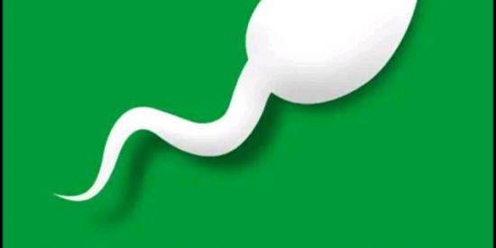 Imagem do grupo de WhatsApp BitLife BR 🕹️🇧🇷