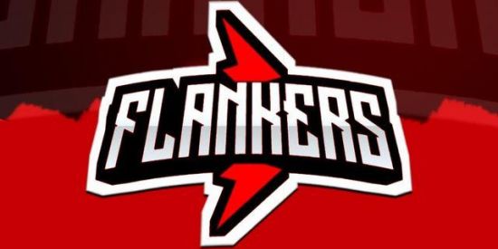Imagem do grupo de WhatsApp DIÁRIO FLANKERS 🏆 | 01