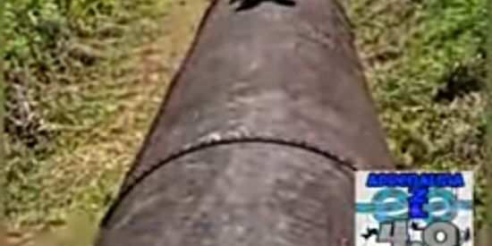 Imagem do grupo de WhatsApp Amizades pra toda vida